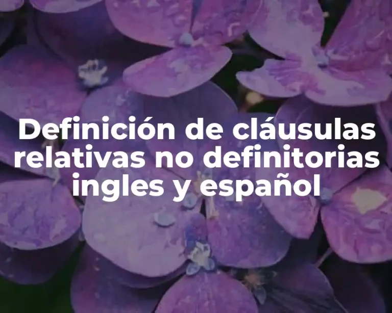 Definición de cláusulas relativas no definitorias ingles y español