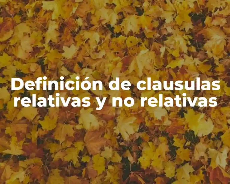 Definición de clausulas relativas y no relativas