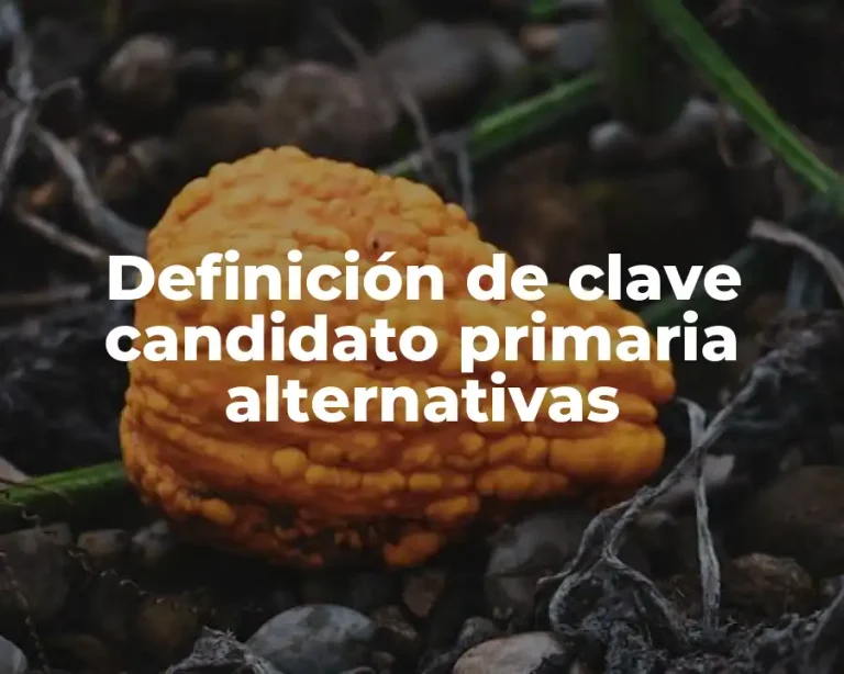 Definición de clave candidato primaria alternativas