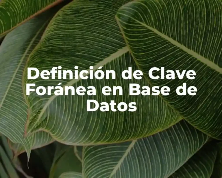 Definición de Clave Foránea en Base de Datos