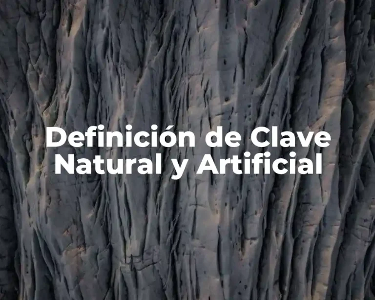 Definición de Clave Natural y Artificial