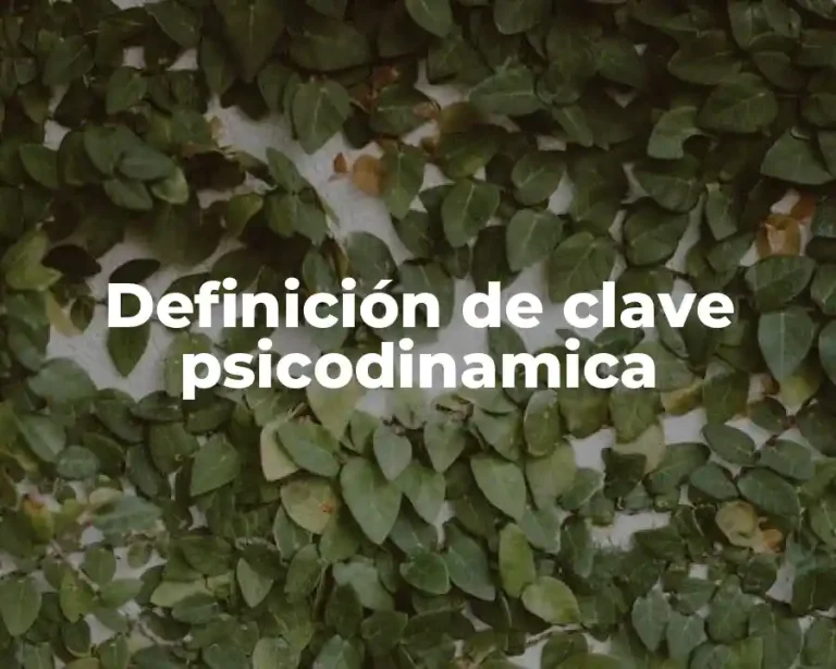 Definición de clave psicodinamica