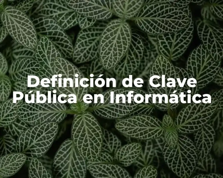 Definición de Clave Pública en Informática