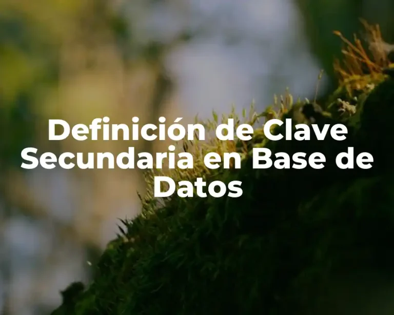 Definición de Clave Secundaria en Base de Datos