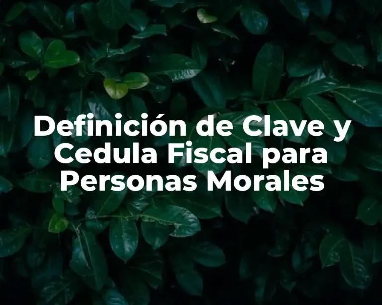 Definición de Clave y Cedula Fiscal para Personas Morales