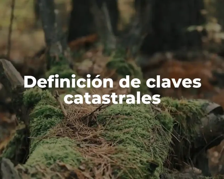 Definición de claves catastrales