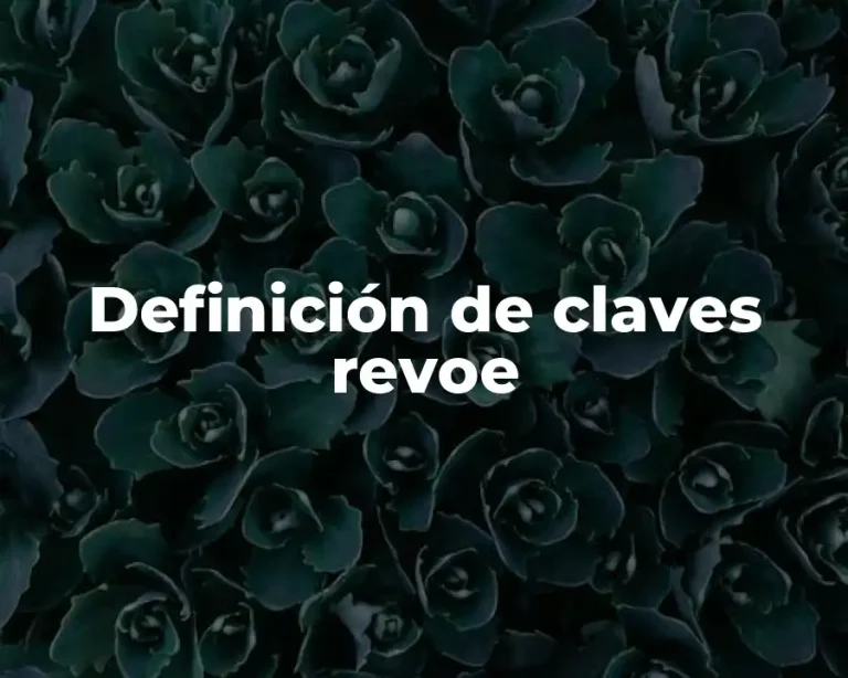 Definición de claves revoe