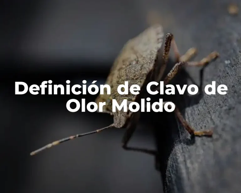 Definición de Clavo de Olor Molido