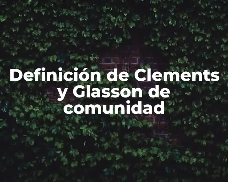 Definición de Clements y Glasson de comunidad