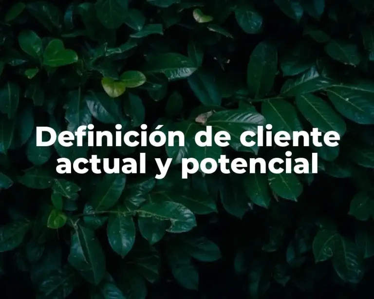 Definición de cliente actual y potencial