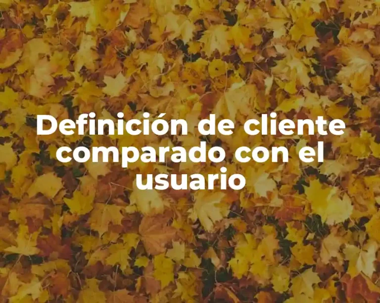 Definición de cliente comparado con el usuario