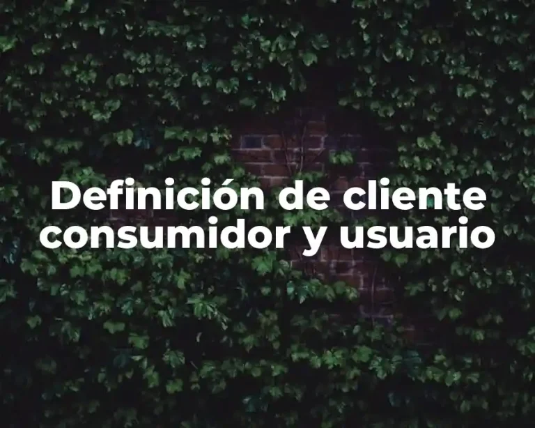Definición de cliente consumidor y usuario