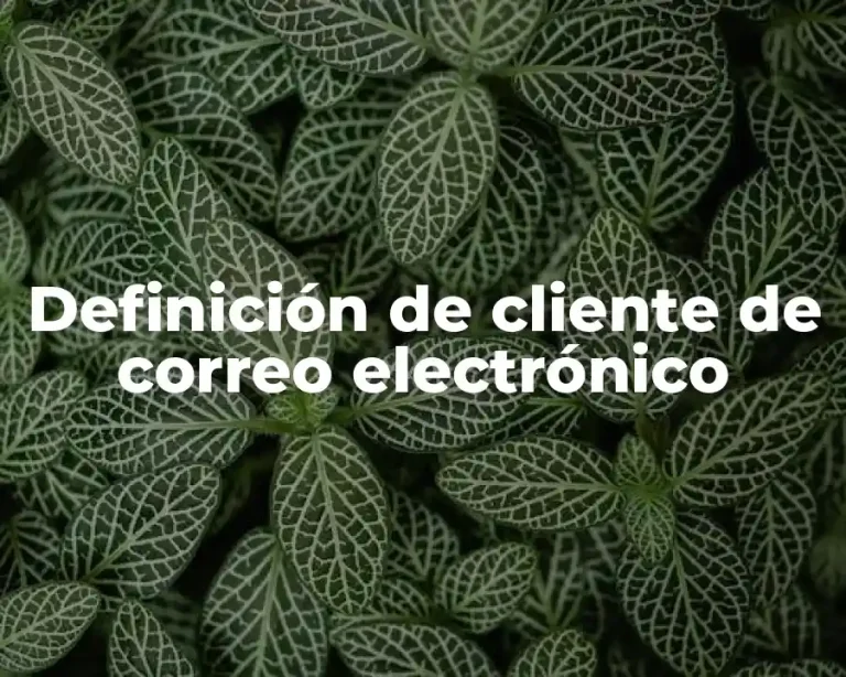 Definición de cliente de correo electrónico