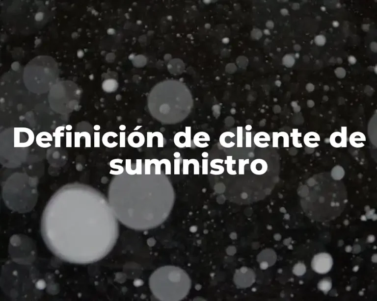 Definición de cliente de suministro
