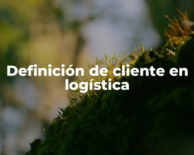 Definición de cliente en logística