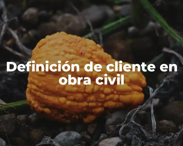 Definición de cliente en obra civil