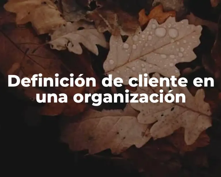 Definición de cliente en una organización
