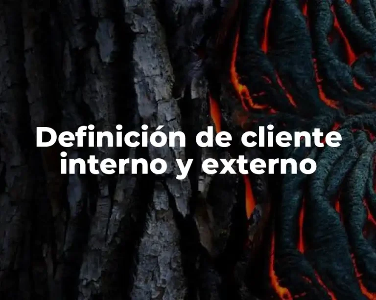 Definición de cliente interno y externo