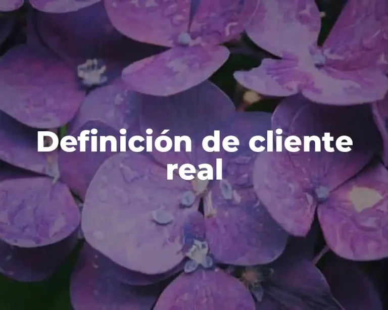 Definición de cliente real