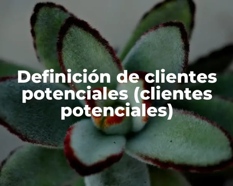 Definición de clientes potenciales (clientes potenciales)