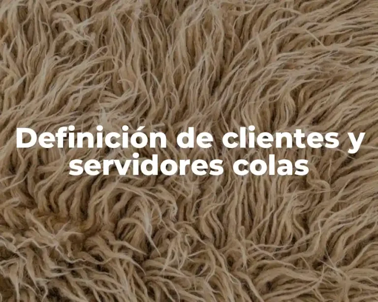 Definición de clientes y servidores colas