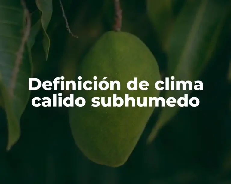 Definición de clima calido subhumedo