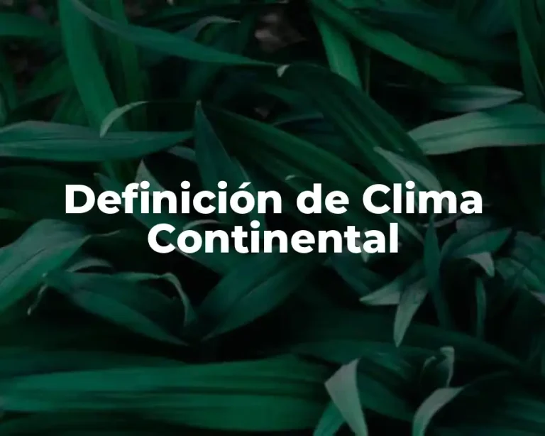 Definición de Clima Continental