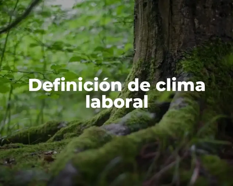 Definición de clima laboral