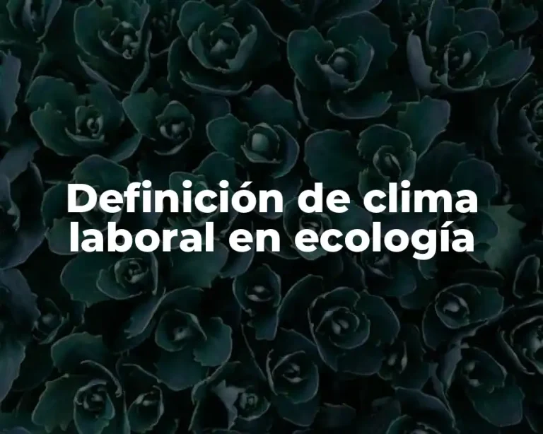 Definición de clima laboral en ecología
