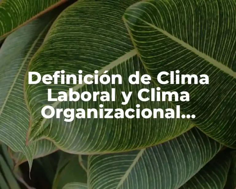 Definición de Clima Laboral y Clima Organizacional Diferencias