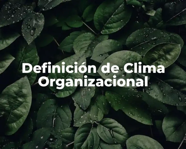 Definición de Clima Organizacional