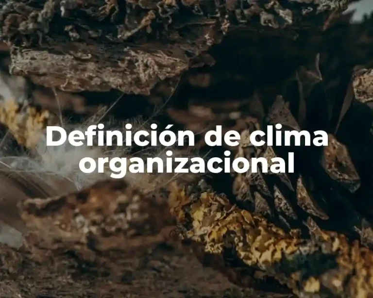 Definición de clima organizacional
