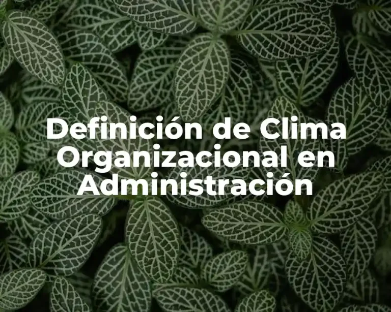 Definición de Clima Organizacional en Administración