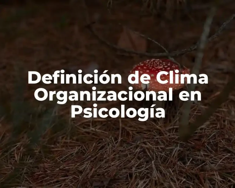 Definición de Clima Organizacional en Psicología