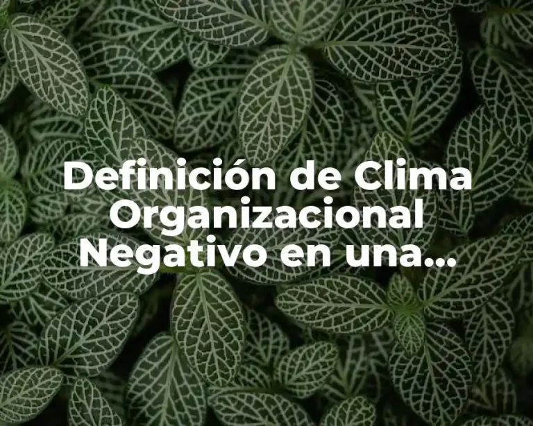 Definición de Clima Organizacional Negativo en una Empresa