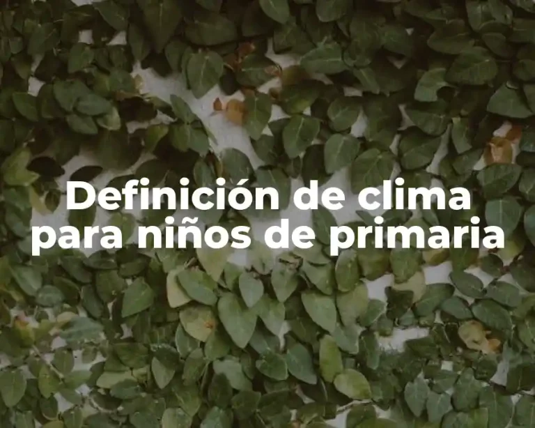 Definición de clima para niños de primaria