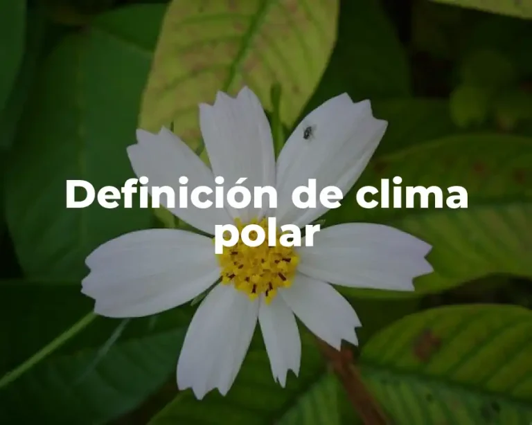 Definición de clima polar