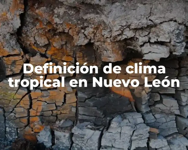 Definición de clima tropical en Nuevo León