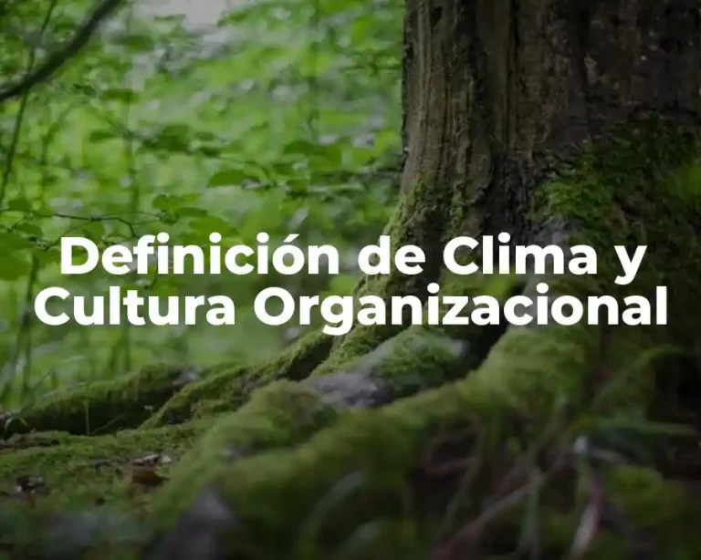 Definición de Clima y Cultura Organizacional