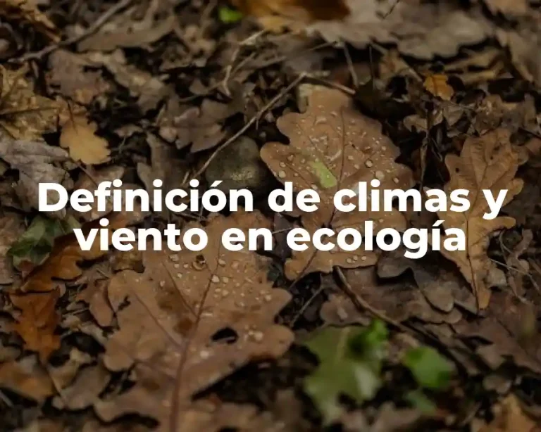 Definición de climas y viento en ecología