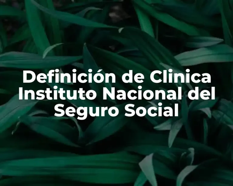 Definición de Clinica Instituto Nacional del Seguro Social