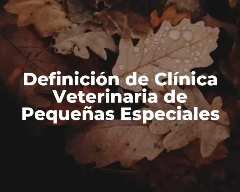 Definición de Clínica Veterinaria de Pequeñas Especiales