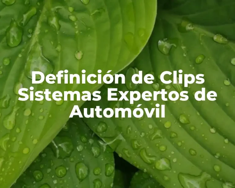 Definición de Clips Sistemas Expertos de Automóvil