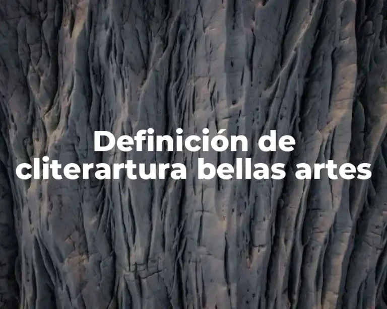 Definición de cliterartura bellas artes