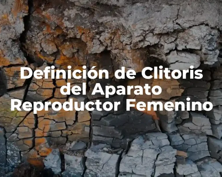 Definición de Clitoris del Aparato Reproductor Femenino