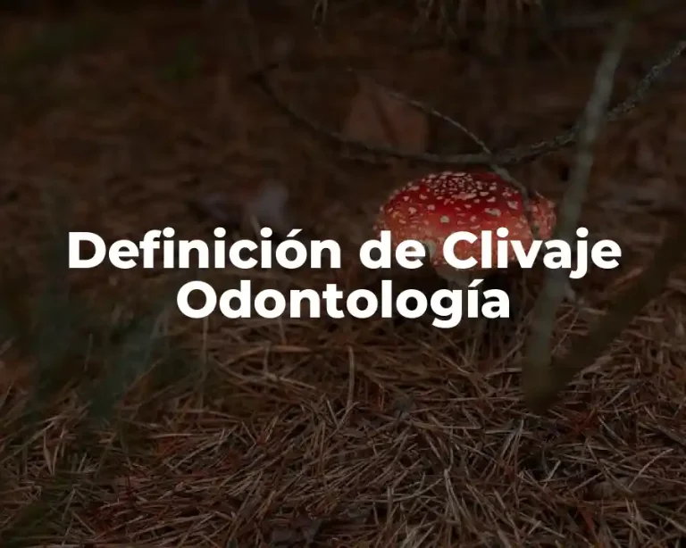 Definición de Clivaje Odontología