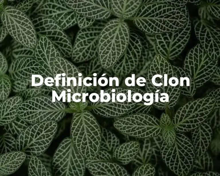 Definición de Clon Microbiología