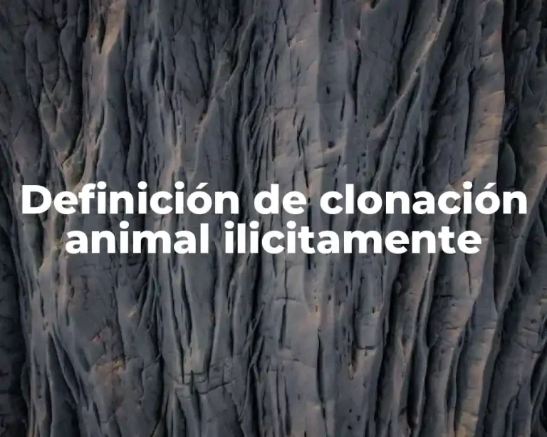 Definición de clonación animal ilicitamente