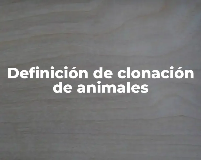 Definición de clonación de animales