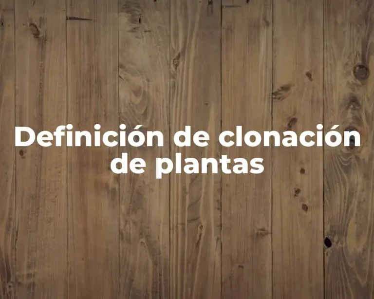 Definición de clonación de plantas